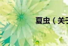 夏虫（关于夏虫的介绍）