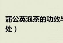 蒲公英泡茶的功效与作用（蒲公英泡水喝的好处）