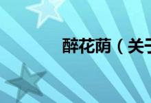 醉花荫（关于醉花荫的介绍）