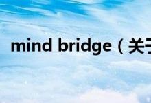 mind bridge（关于mind bridge的介绍）