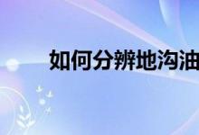 如何分辨地沟油（怎么分辨地沟油）