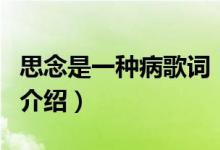 思念是一种病歌词（关于思念是一种病歌词的介绍）