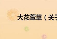 大花萱草（关于大花萱草的介绍）