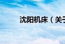沈阳机床（关于沈阳机床的介绍）