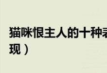 猫咪恨主人的十种表现（猫咪恨主人有哪些表现）