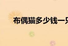 布偶猫多少钱一只（布偶猫价格介绍）