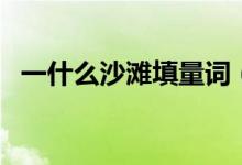 一什么沙滩填量词（如何填写一什么沙滩）