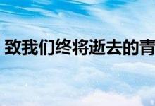 致我们终将逝去的青春观后感（你有看过吗）