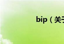 bip（关于bip的介绍）