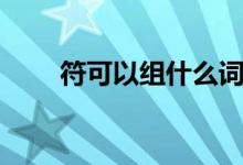 符可以组什么词（符的含义是什么）