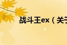 战斗王ex（关于战斗王ex的介绍）