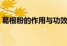 葛根粉的作用与功效禁忌（这里有简单介绍）