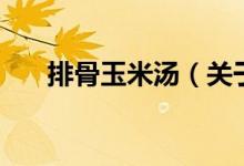 排骨玉米汤（关于排骨玉米汤的介绍）