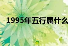 1995年五行属什么（1995年五行是什么）