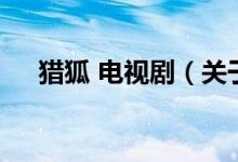 猎狐 电视剧（关于猎狐 电视剧的介绍）