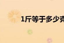 1斤等于多少克（斤是什么单位）