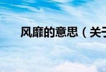 风靡的意思（关于风靡的意思的介绍）