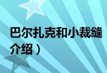 巴尔扎克和小裁缝（关于巴尔扎克和小裁缝的介绍）