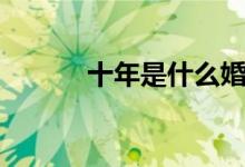 十年是什么婚（十年属于什么）