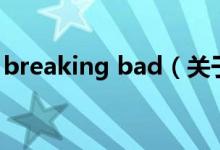 breaking bad（关于breaking bad的介绍）