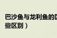 巴沙鱼与龙利鱼的区别（巴沙鱼和龙利鱼有哪些区别）