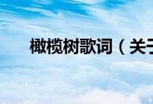 橄榄树歌词（关于橄榄树歌词的介绍）
