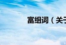 富组词（关于富组词的介绍）