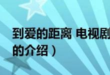 到爱的距离 电视剧（关于到爱的距离 电视剧的介绍）