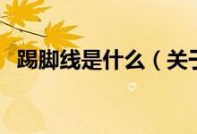 踢脚线是什么（关于踢脚线是什么的介绍）