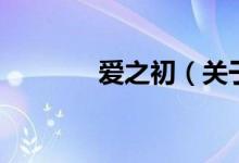 爱之初（关于爱之初的介绍）