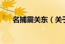名捕震关东（关于名捕震关东的介绍）