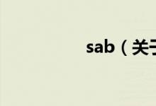 sab（关于sab的介绍）
