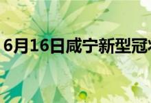 6月16日咸宁新型冠状病毒肺炎疫情最新消息