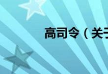 高司令（关于高司令的介绍）