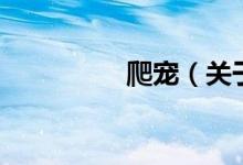 爬宠（关于爬宠的介绍）