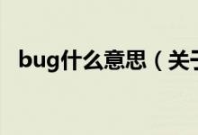 bug什么意思（关于bug什么意思的介绍）