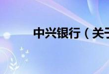 中兴银行（关于中兴银行的介绍）