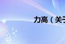 力高（关于力高的介绍）