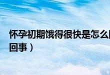 怀孕初期饿得很快是怎么回事（怀孕初期饿的特别快是怎么回事）