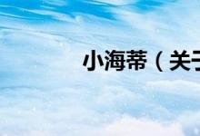小海蒂（关于小海蒂的介绍）