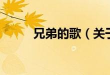 兄弟的歌（关于兄弟的歌的介绍）