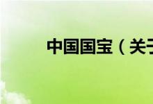 中国国宝（关于中国国宝的介绍）