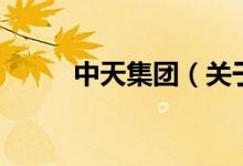中天集团（关于中天集团的介绍）