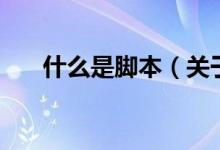 什么是脚本（关于什么是脚本的介绍）