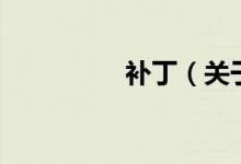 补丁（关于补丁的介绍）