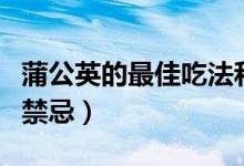 蒲公英的最佳吃法和功效（蒲公英根的功效和禁忌）
