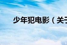 少年犯电影（关于少年犯电影的介绍）