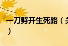 一刀劈开生死路（关于一刀劈开生死路的介绍）