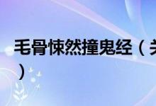 毛骨悚然撞鬼经（关于毛骨悚然撞鬼经的介绍）