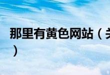 那里有黄色网站（关于那里有黄色网站的介绍）